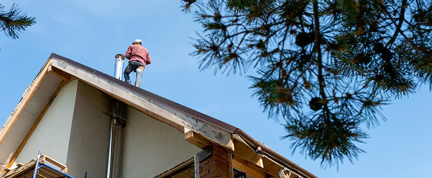 Birds Removal Contractors from Chimney in Hueytown, AL