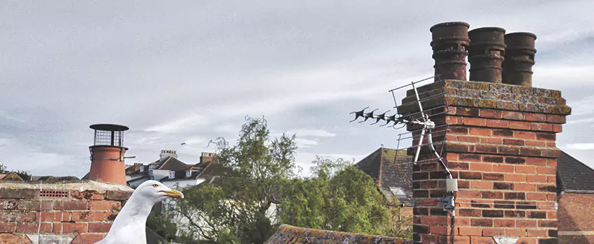 Chimney Cleaning And Restoration in Hueytown, Alabama